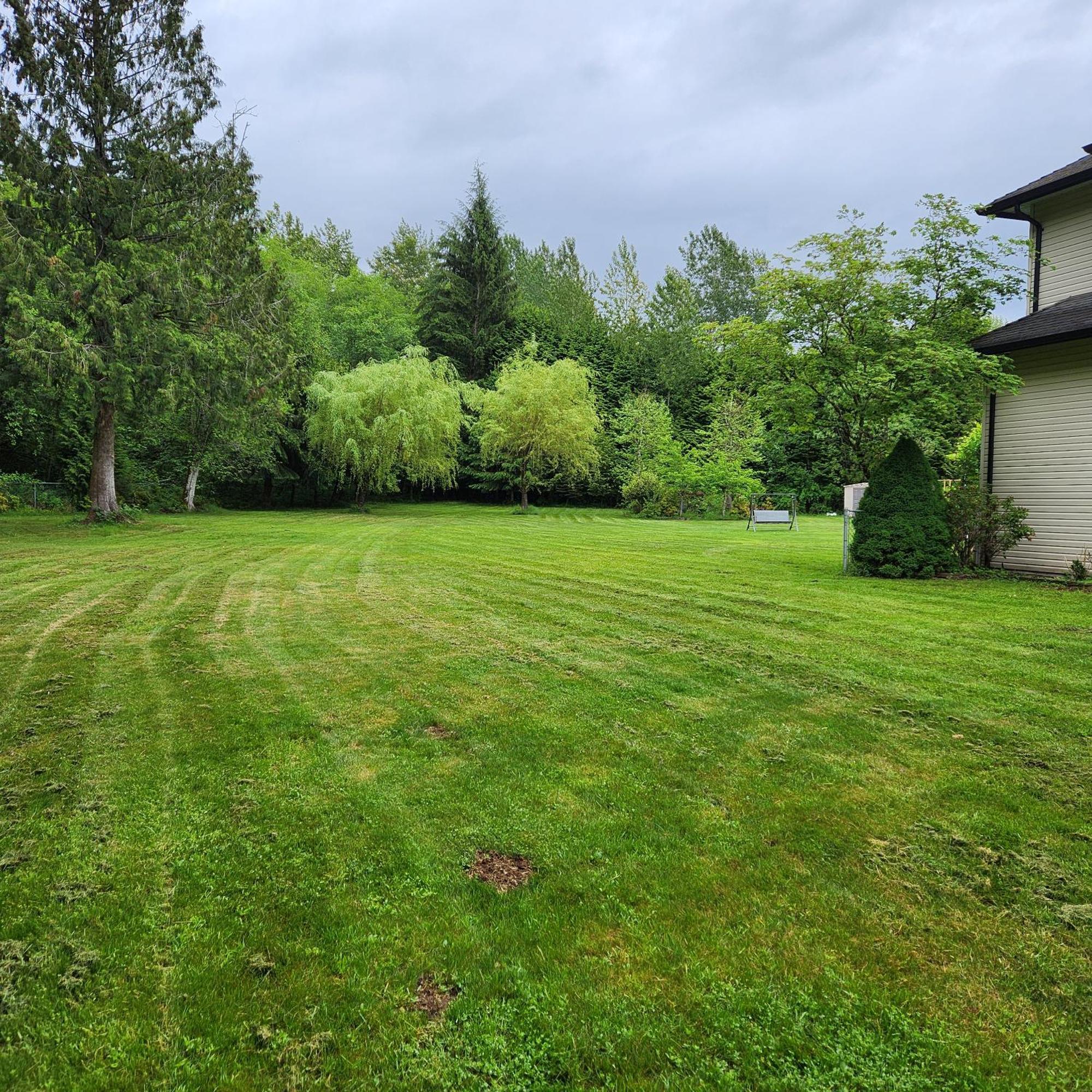 Beautiful 3-Bedroom Suite On 1 Acre Maple Ridge Exterior foto